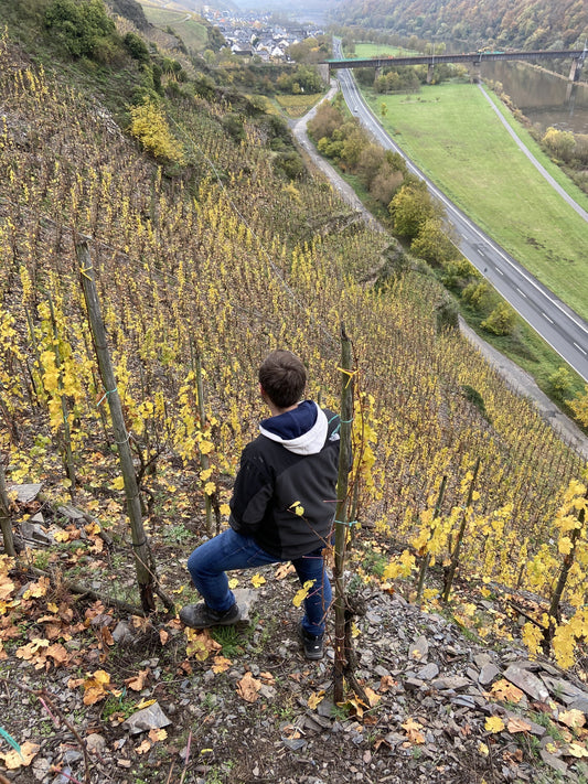 Bremmer Calmont "Back2theROOTS" - Weingut Baldes