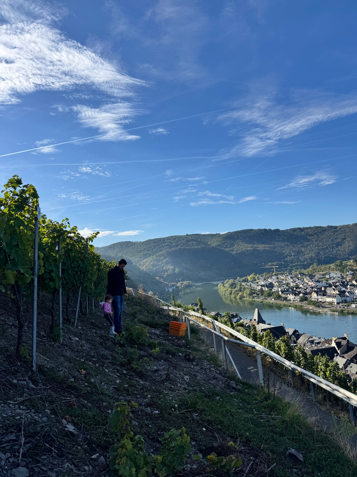 Steillagen- Weinpaket