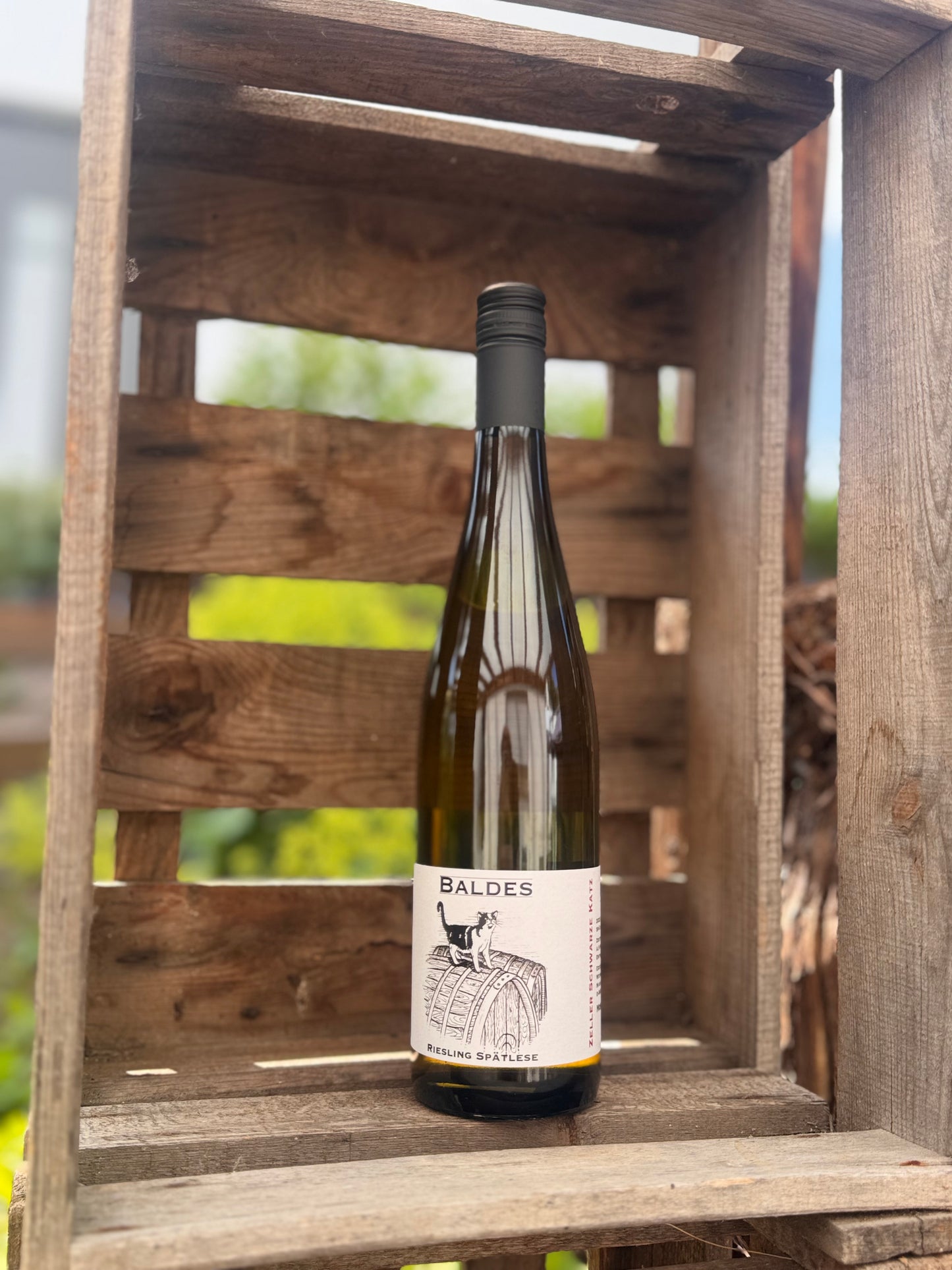 Riesling Spätlese Zeller Schwarze Katz süss (2025)