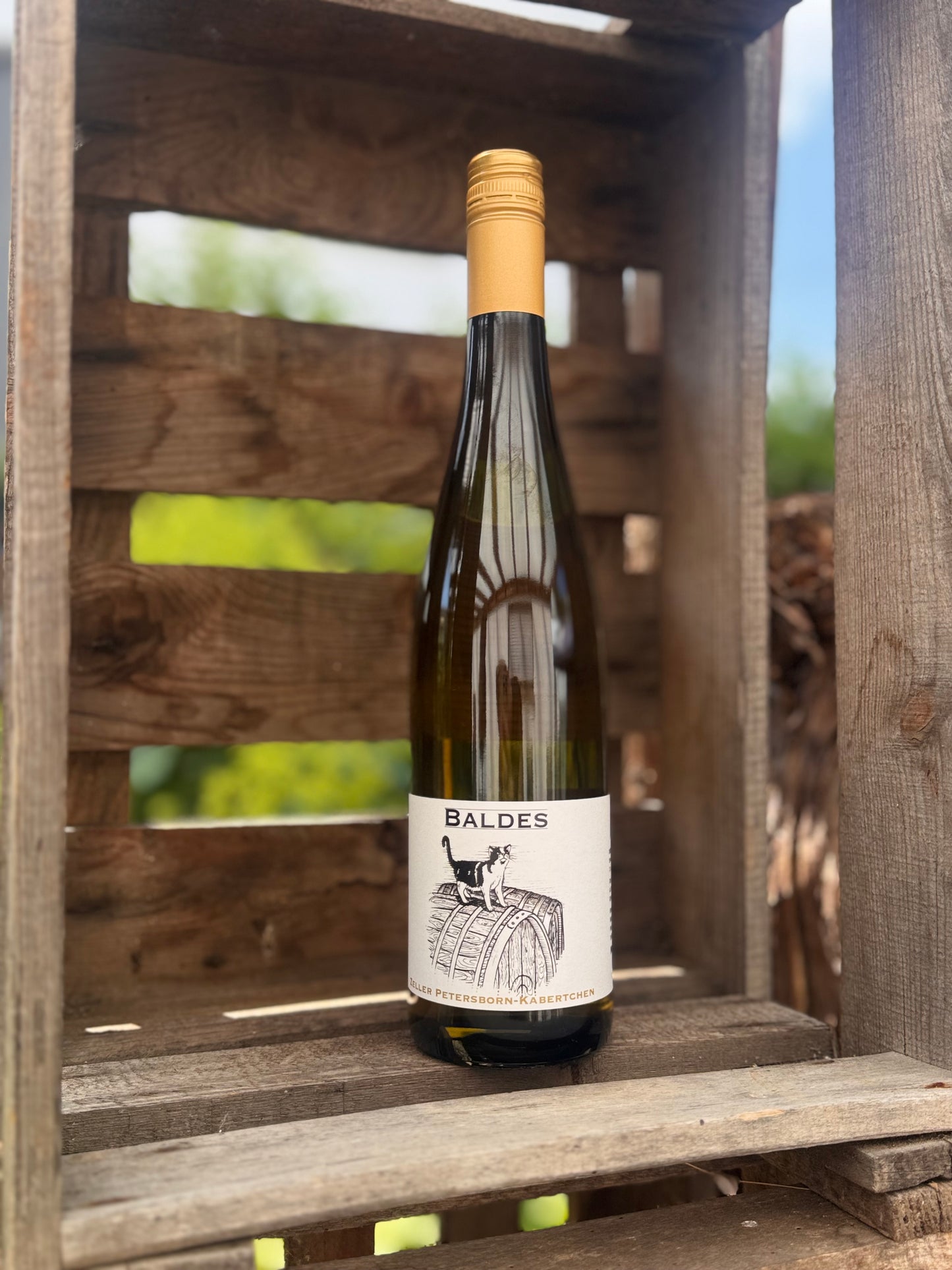 Riesling Spätlese Zeller Pertersborn-Kabertchen halbtrocken (2025)