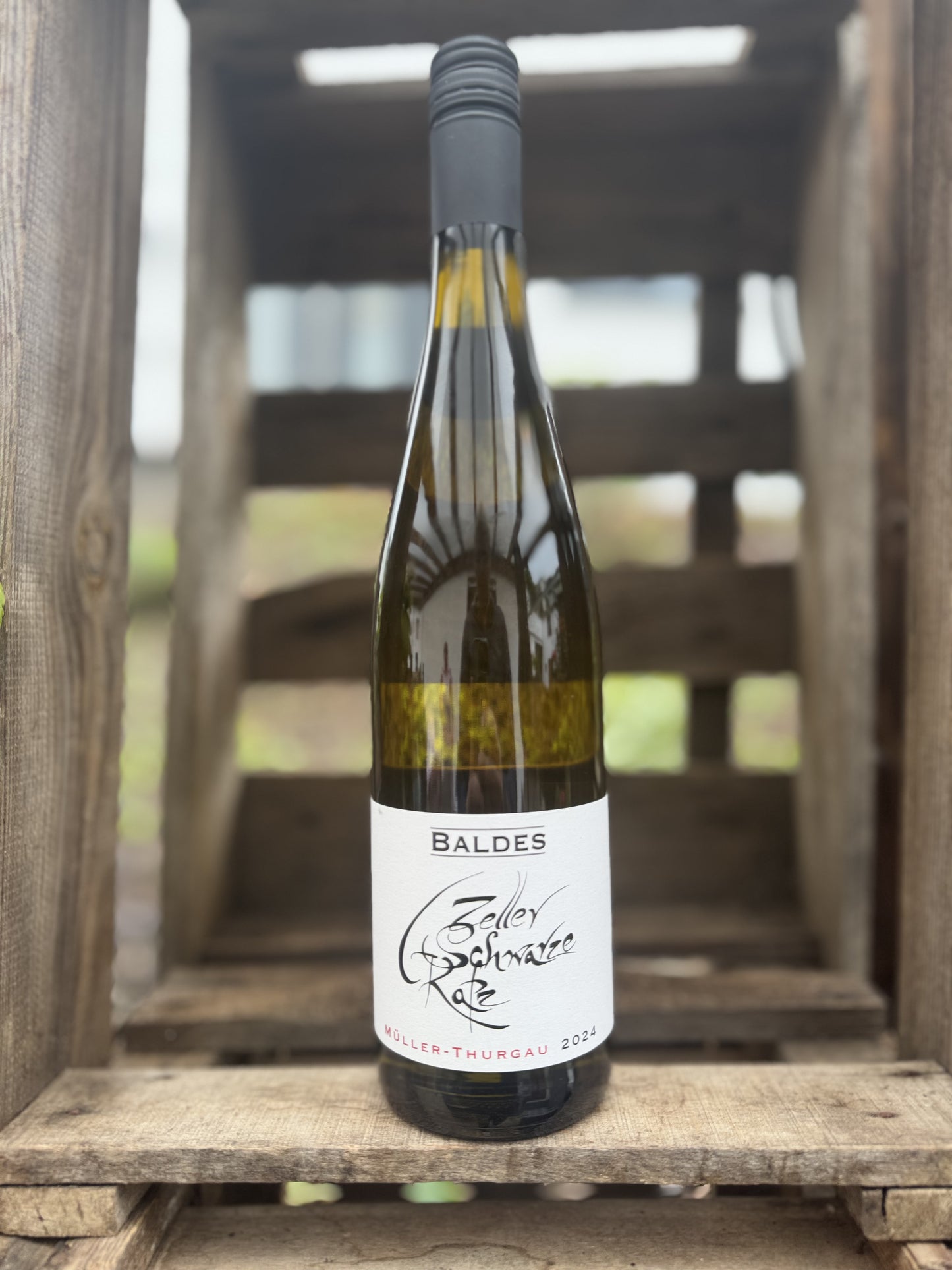 Müller-Thurgau süss (2024)