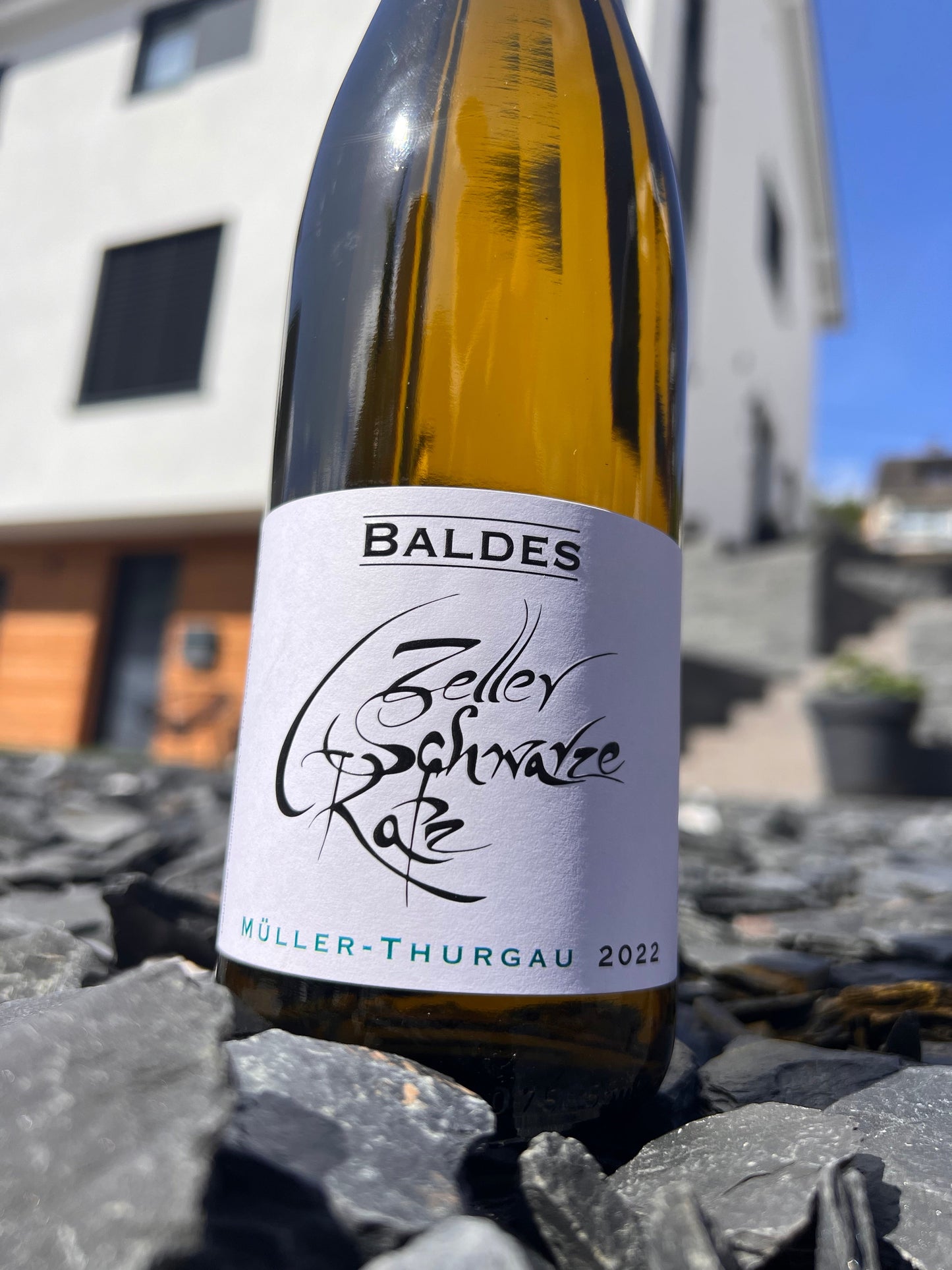 Müller-Thurgau Zeller Schwarze Katz feinherb (2022) - Weingut Baldes
