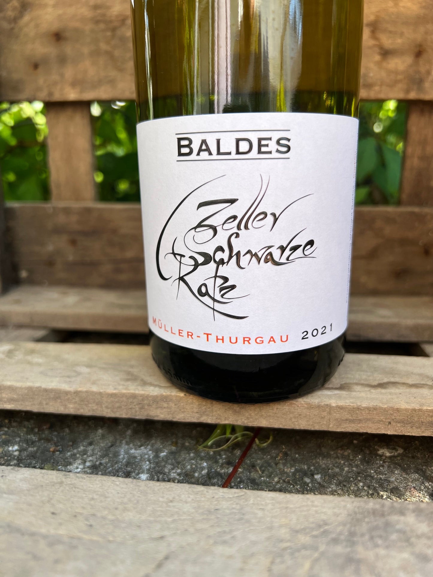 Müller-Thurgau Zeller Schwarze Katz trocken (2021) - Weingut Baldes
