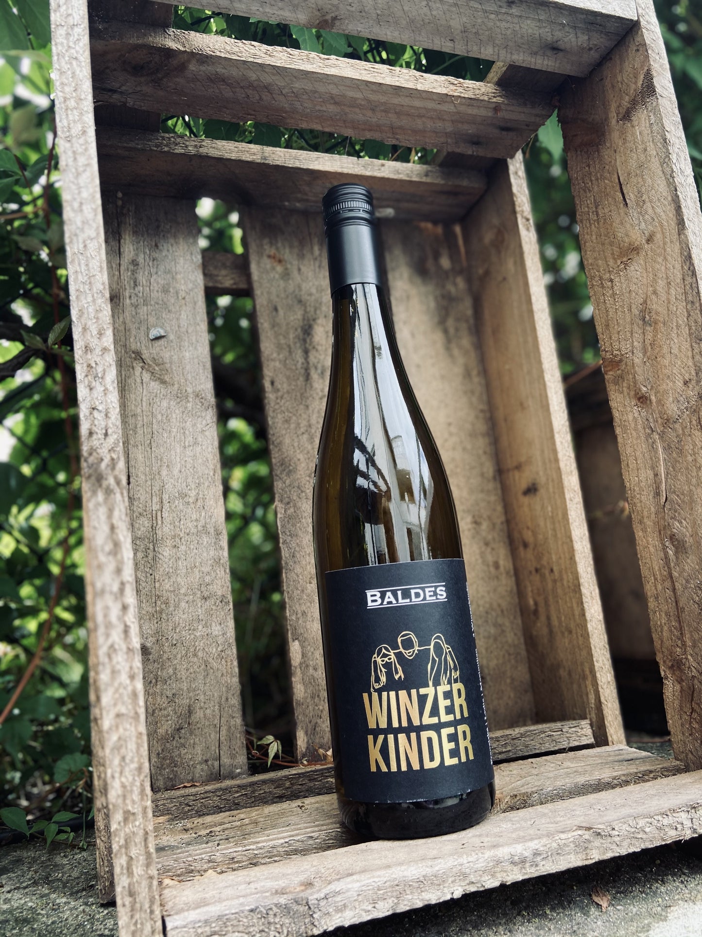 Riesling Kabinett NONNENGARTEN ‘3 Winzerkinder’ trocken (2020) - Weingut Baldes