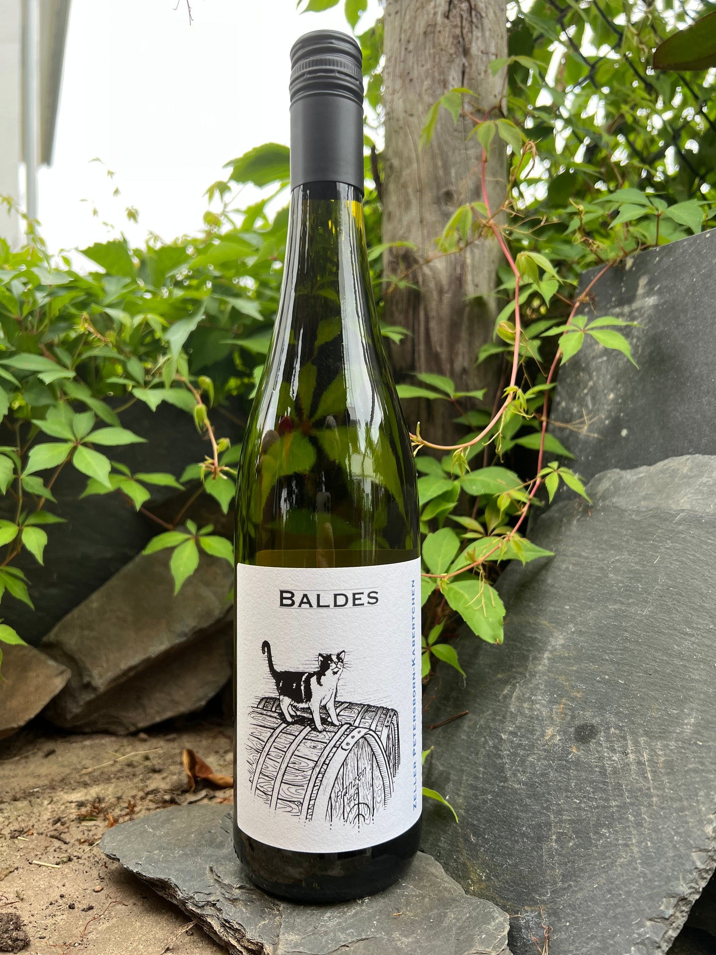 Riesling ZPK FRANZEN #6 trocken (2021) - Weingut Baldes