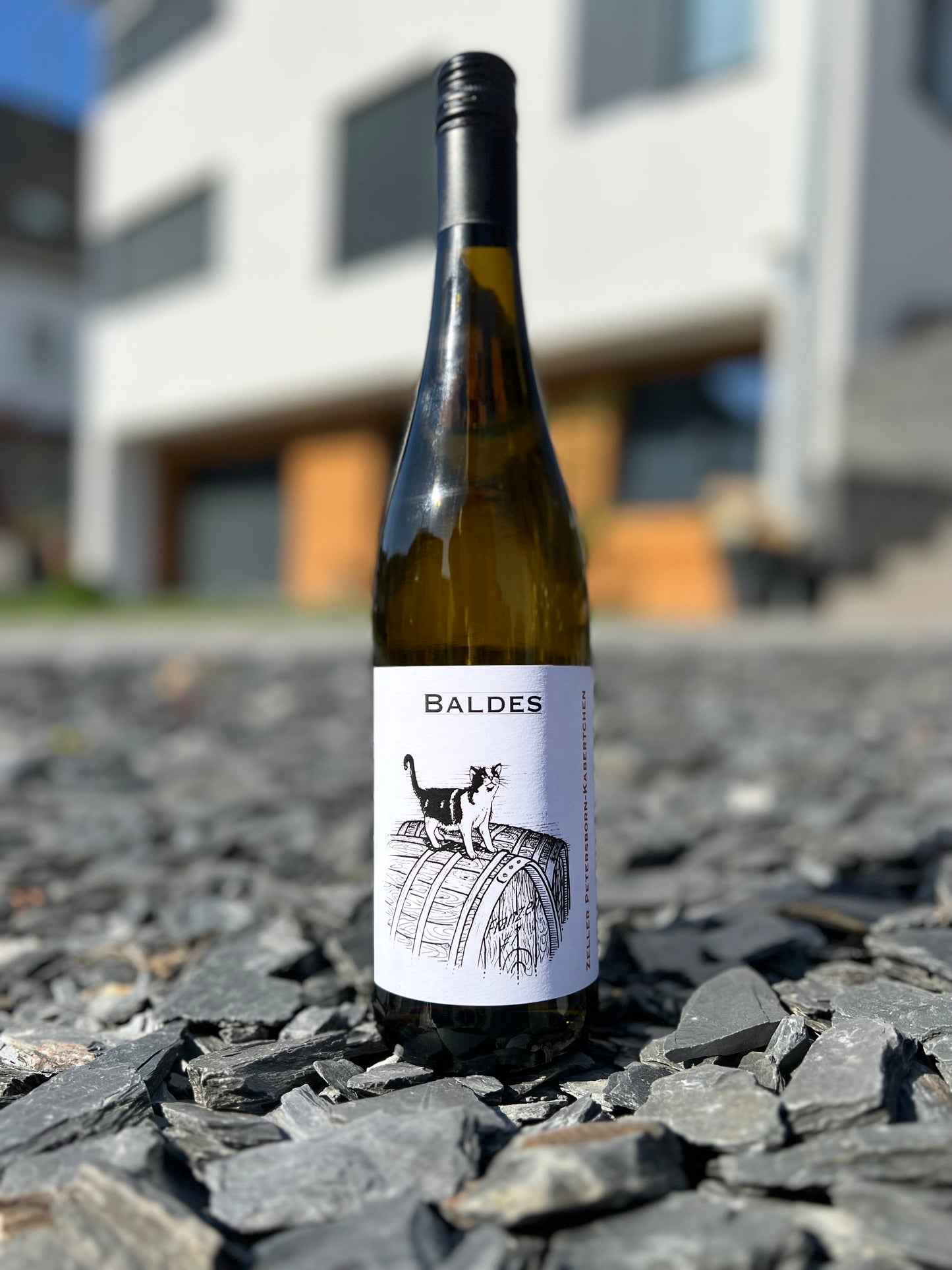 Riesling ZPK Kabinett FRANZEN #7 fruchtsüß (2022) - Weingut Baldes
