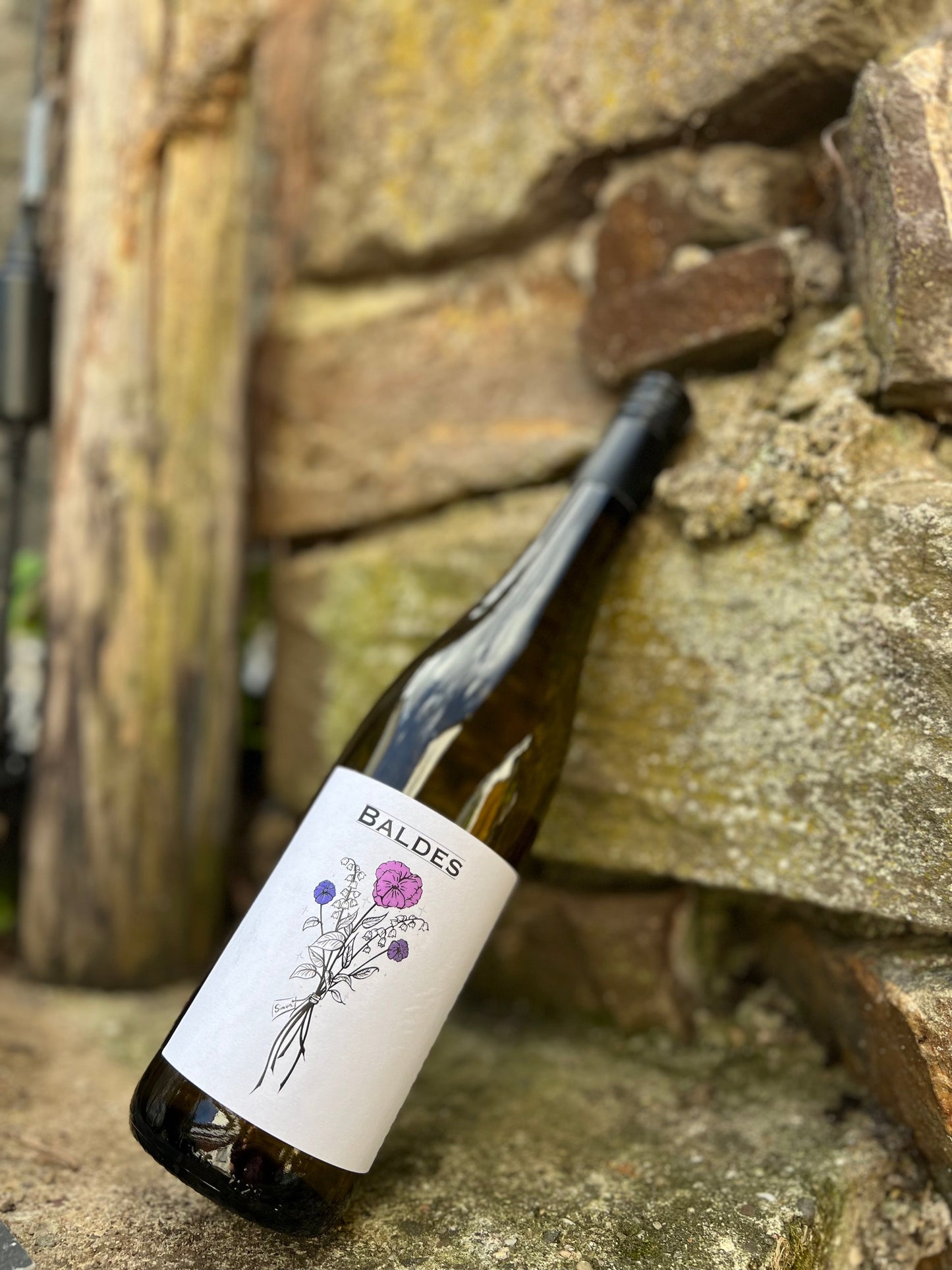 Weissburgunder (2022) - Weingut Baldes