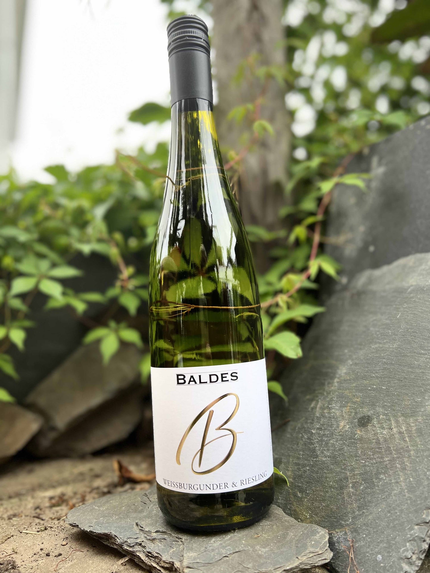 Weissburgunder & Riesling Cuvée feinherb (2021) - Weingut Baldes