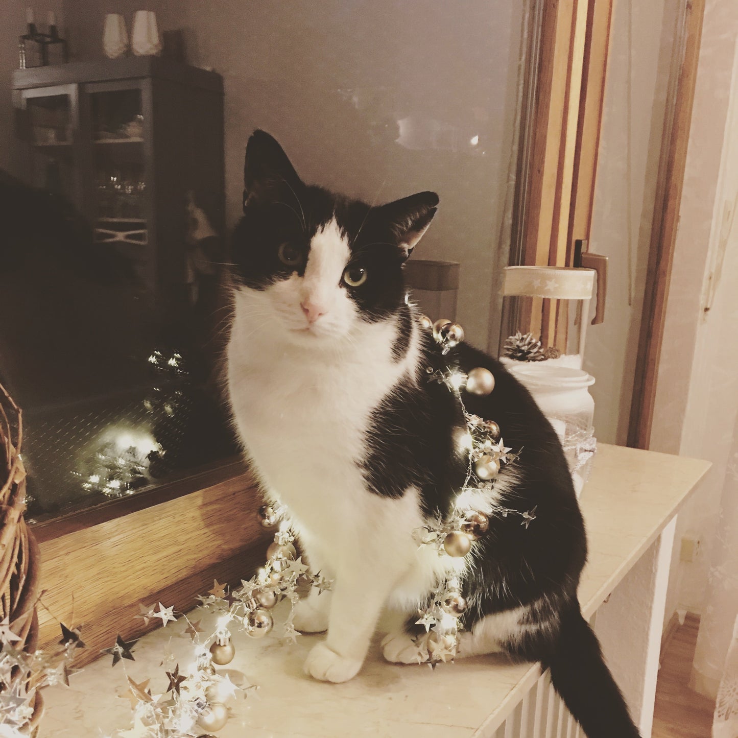 Winterkiste (6 Flaschen) - Weingut Baldes