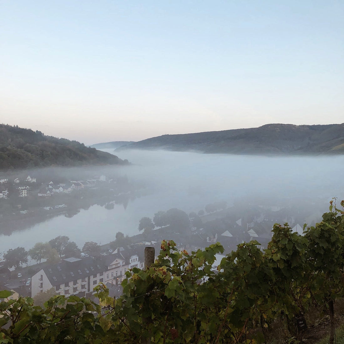 Herbst 2019 - Weingut Baldes