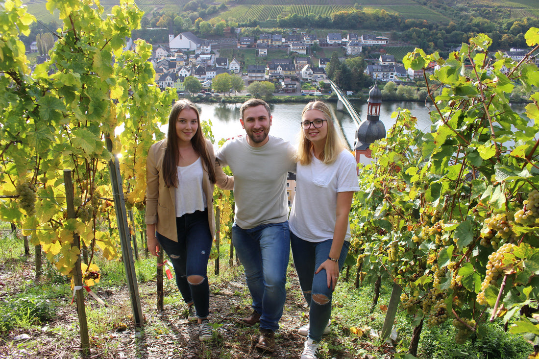 Sommer im Weinberg – mit großen Schritten Richtung Herbst