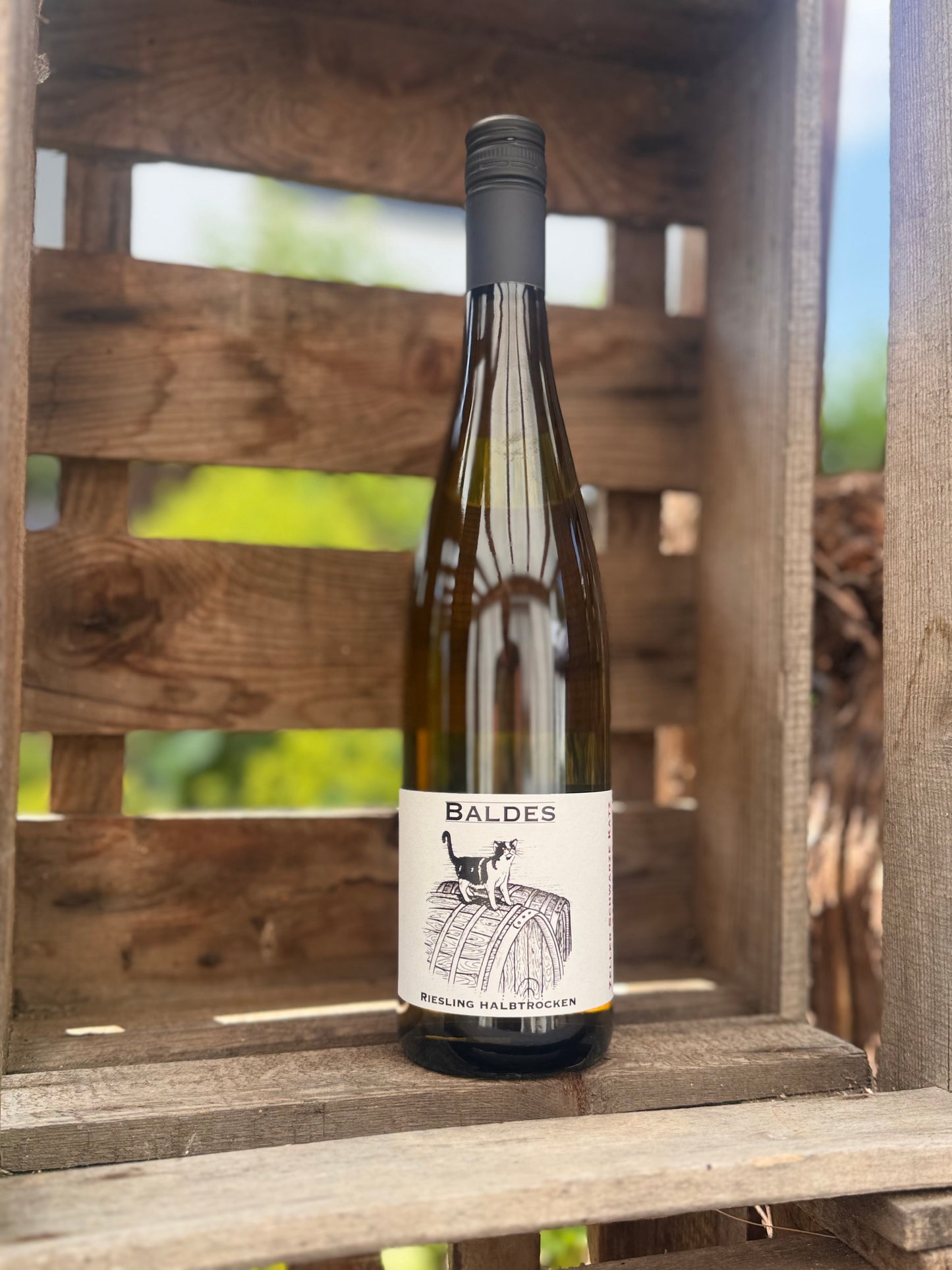 Riesling Zeller Schwarze Katz halbtrocken (2024)