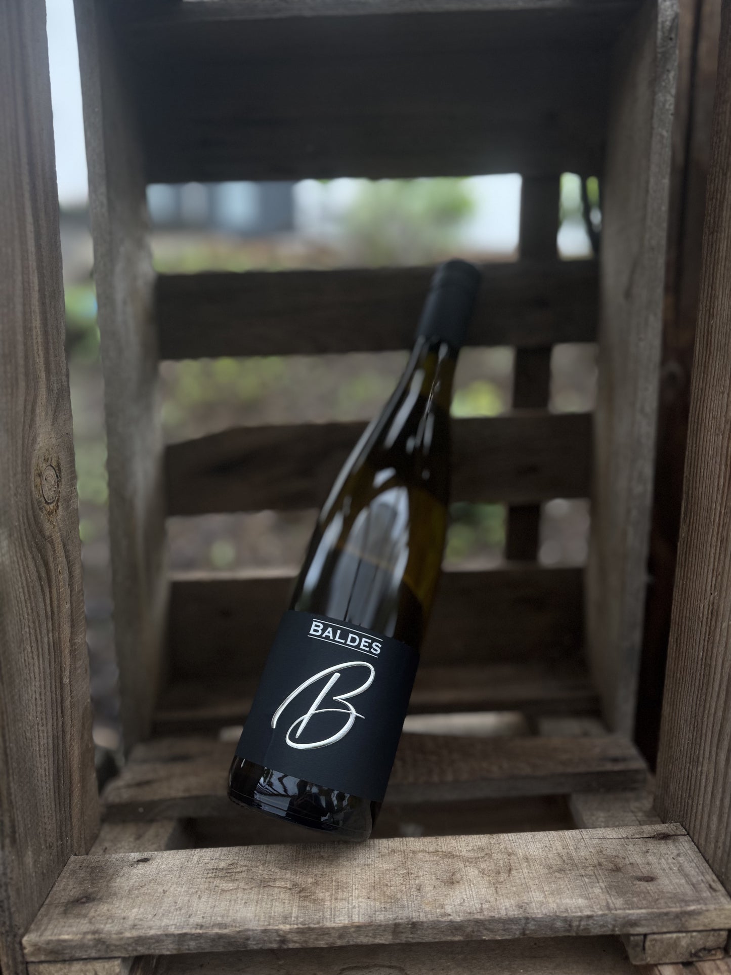 Riesling "B" süss (2024)