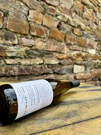 Weissburgunder (2023) trocken - Weingut Baldes